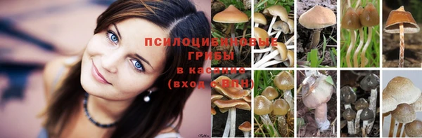 СК Аркадак