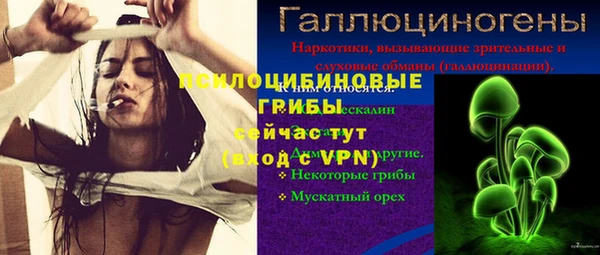 СК Аркадак
